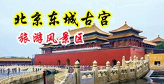 大胸美女被操的嗷嗷叫中国北京-东城古宫旅游风景区